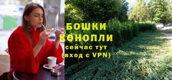 скорость Болотное