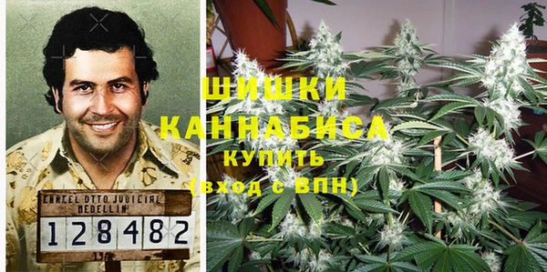 эйфоретик Новозыбков