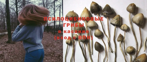 метамфетамин Няндома